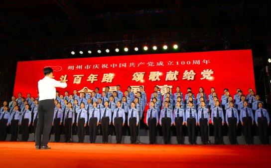 救援达尔马提亚狗